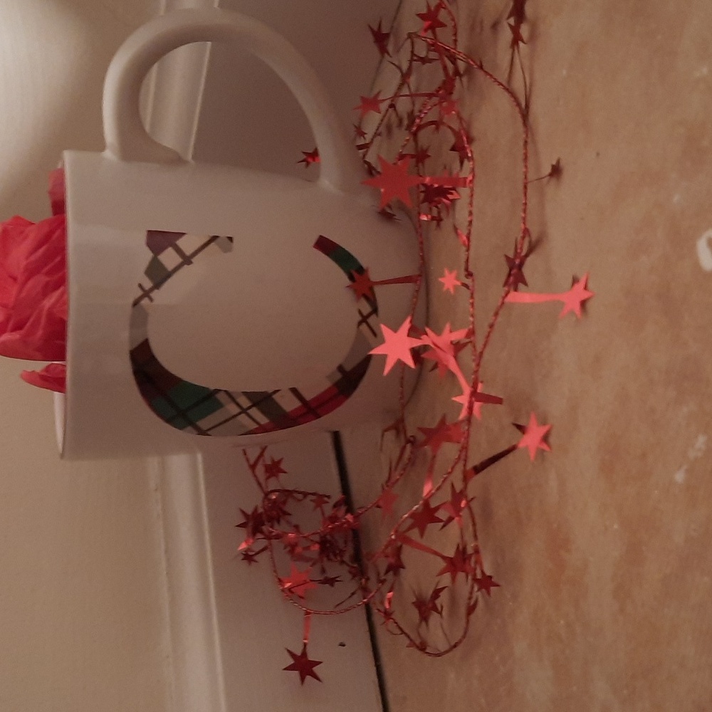 Plaid Initial "C" Cup